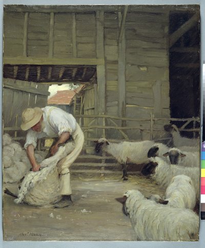 Stříhání ovcí od Alexander Mann