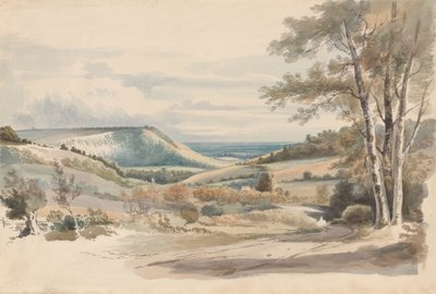 Boxhill z West Humble Lane od Alexander Monro