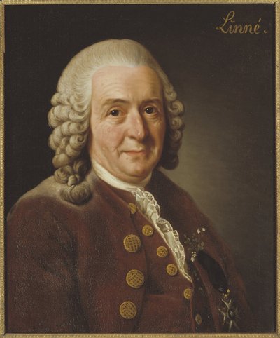  od Alexander Roslin