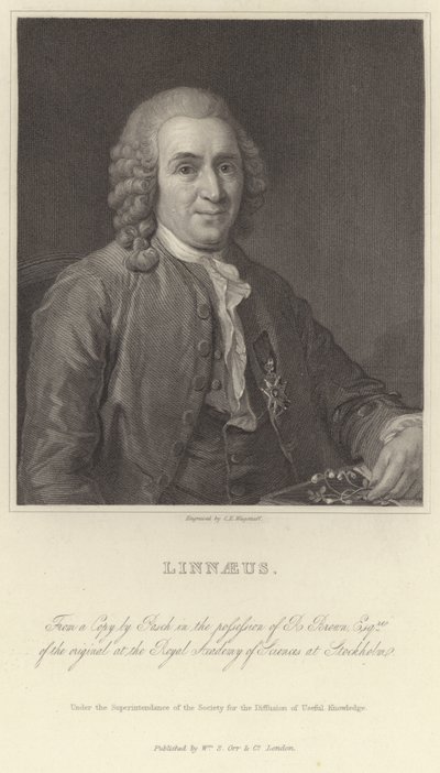 Linnaeus od Alexander Roslin