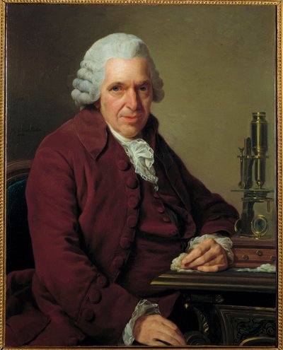 Portrét Louis Jean Marie Daubenton, dit Daubenton (1716 - 1800), francouzský přírodovědec. Malba Roslin Alexandre (1718 - 1793) Orleans Musee Des Beaux Arts. - Portrét Louis-Jean-Marie Daubenton, zvaného Daubenton od Alexander Roslin