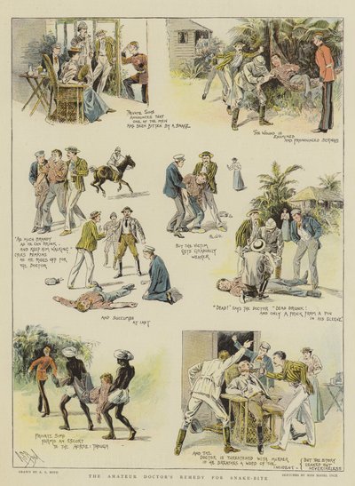 Amatérský lék na uštknutí hadem (chromolitho) od Alexander Stuart Boyd