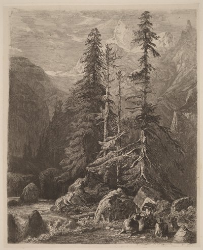 Zkušební leptané kresby od Alexandre Calame, I, tab. 21 od Alexandre Calame