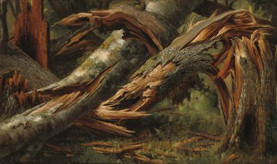 Padlý strom, 18391845. od Alexandre Calame