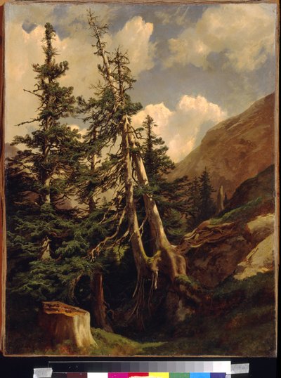 Jedle v horách od Calame, Alexandre (1810-1864). Olej na plátně, Rozměr: 68,5x53. Státní muzeum výtvarných umění A. Puškina, Moskva od Alexandre Calame