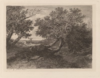 Proud s převislými stromy od Alexandre Calame