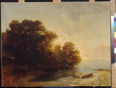 Stromy u jezera od Calame, Alexandre (1810-1864). Olej na plátně, Rozměr: 62x81. Státní muzeum výtvarných umění A. Puškina, Moskva od Alexandre Calame