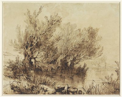 Vrby na jezeře v mírně svažitém terénu od Alexandre Calame