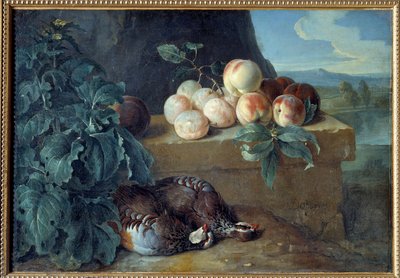 Broskve a koroptve. Obraz Francoise Desportese (1661-1743) od Alexandre Francois Desportes