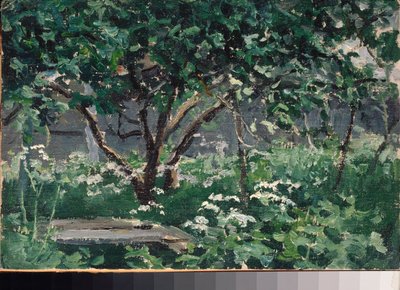 Un coin du jardin (Koutek zahrady) - Dílo Alexeje Stěpanoviče Stěpanova (1858-1923), olej na kartonu od Alexei Steipanovitch Stepanov