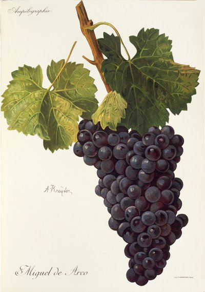 Miguel de Arco grape by A. Kreyder   1414244   cs       czech Successfully Translated  Original: Entrance to the Field Translat: Entrance to the Field 1264757 cs czech Successfully Translated Original: Arcadisch landschap met dansende figuren Arcadisch lan od Alexis Kreyder