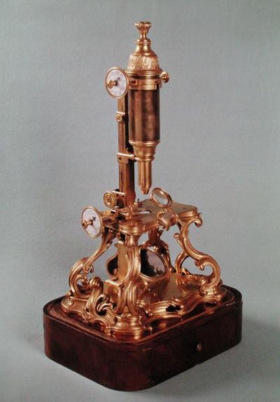 Mikroskop patřící Louisi Auguste d