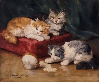 Kočky od Alfred Brunel de Neuville