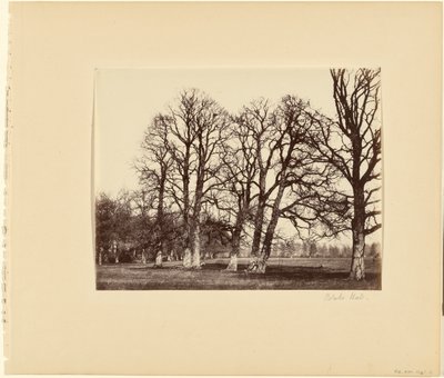 Blake Hall od Alfred Capel Cure