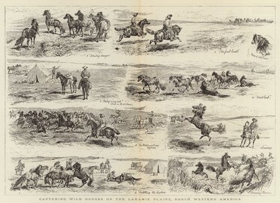 Zachycení divokých koní na Laramie Plains, Severozápadní Amerika od Alfred Chantrey Corbould
