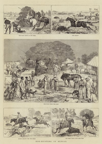 Lov prasat v Bengálsku od Alfred Chantrey Corbould