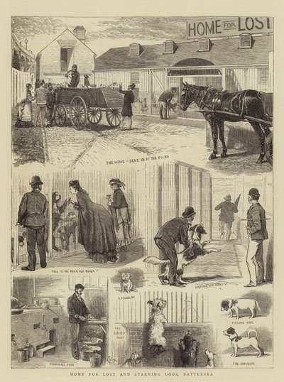 Domov pro ztracené a hladovějící psy, Battersea od Alfred Chantrey Corbould