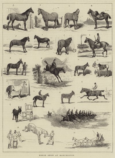 Výstava koní v Manchesteru od Alfred Chantrey Corbould