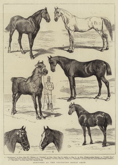 Skici na koňské výstavě v Islingtonu od Alfred Chantrey Corbould