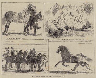 Koňská show v parku Alexandra od Alfred Chantrey Corbould