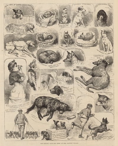 Výstava psů Kennel Club v Crystal Palace od Alfred Chantrey Corbould