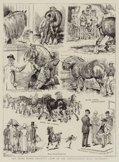 Shire Horse Society Show v Agricultural Hall, Islington od Alfred Chantrey Corbould