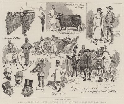 Smithfield Club Cattle Show v Agricultural Hall od Alfred Chantrey Corbould