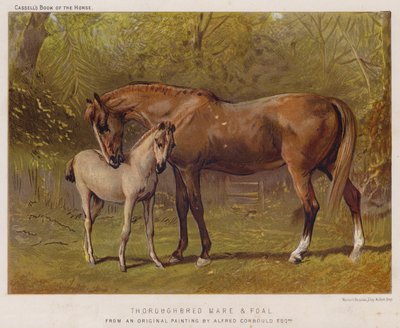 Plnokrevná klisna a hříbě (barva litho) od Alfred Chantrey Corbould