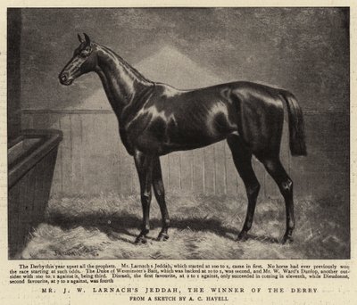 Pan J. W. Larnachs Jeddah, vítěz Derby od Alfred Charles Havell