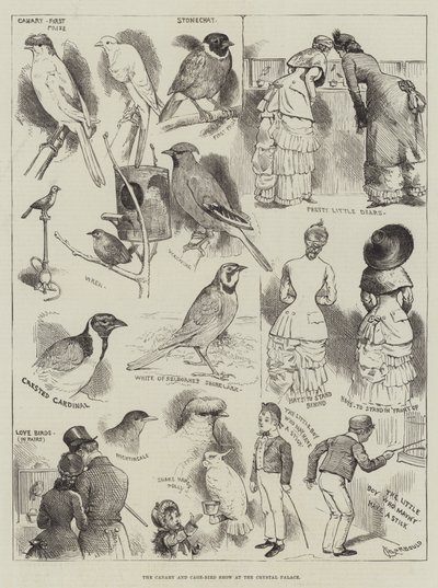 Canary and Cage-Bird Show v Crystal Palace od Alfred Courbould