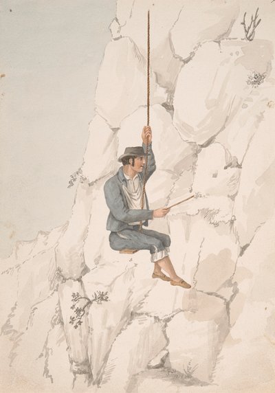 Gomero, sběrač orchidejí od Alfred Diston