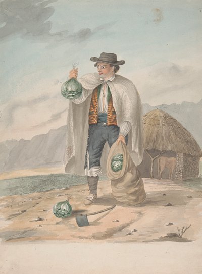 Tenerife – muž z Tacoronte od Alfred Diston