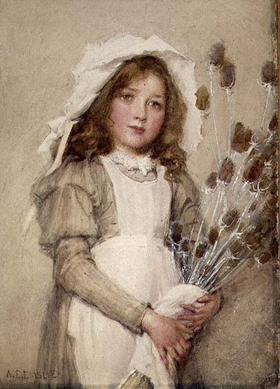 A Bunch of Teasels (wc) od Alfred Edward Emslie