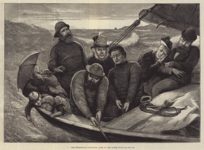 Svatodušní prázdniny, život na vlně oceánu od Alfred Edward Emslie