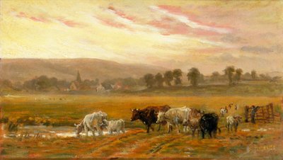 Západ slunce u Amberley (olej na plátně) od Alfred Fitzwalter Grace