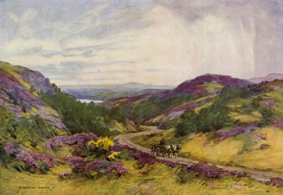 Dánsko: Raebild Hills, poblíž Aalborgu (barevné lito) od Alfred Heaton Cooper
