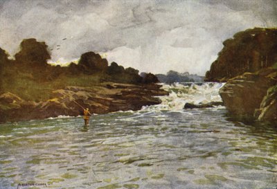 Vodopády Kathleens, Ballyshannon od Alfred Heaton Cooper