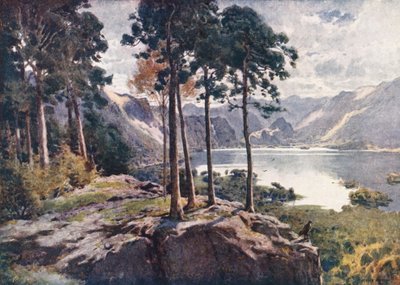 Lake District: Derwentwater, od Castle Head, jasné ráno (barevná litografie) od Alfred Heaton Cooper