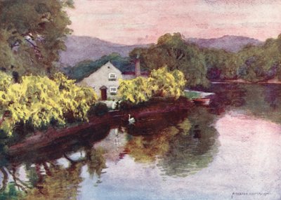Lake District: Laburnums at Newby Bridge, Windermere (barevná litografie) od Alfred Heaton Cooper