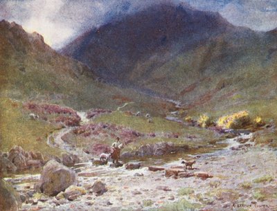 Lake District: Stepping-stones, Far Easedale, Grasmere (barevná litografie) od Alfred Heaton Cooper