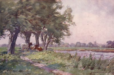 Poledne na Stour, Suffolku od Alfred Heaton Cooper