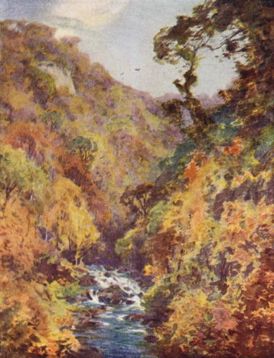 Dargle, hrabství Wicklow od Alfred Heaton Cooper