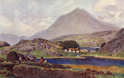 Sběrači trávníků, Connemara od Alfred Heaton Cooper