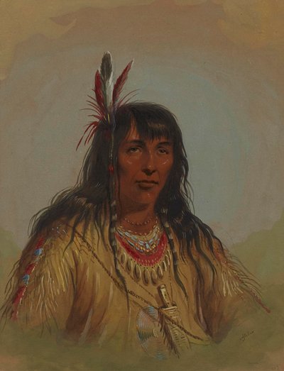  od Alfred Jacob Miller