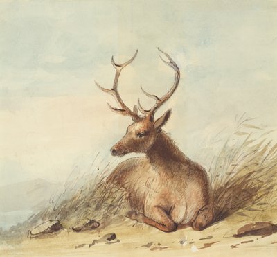 Elk, Rocky Mountains, cca 1837 (tužka, pero, inkoust a akvarel na papíře) od Alfred Jacob Miller