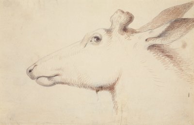 Elk. c.1837 (kresba) od Alfred Jacob Miller