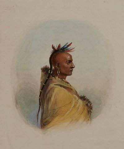 Hlava Siouxe od Alfred Jacob Miller