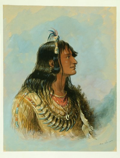  od Alfred Jacob Miller