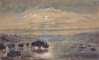 Noční scéna, Buffaloes on the Prairie, c.1837 (akvarel na papíře) od Alfred Jacob Miller
