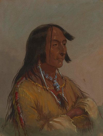 od Alfred Jacob Miller